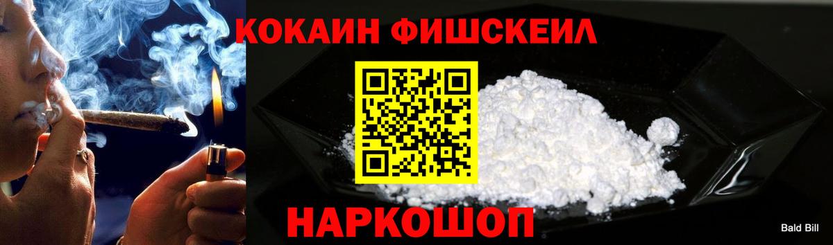 COCAIN Fish Scale  Вход с VPN  COCAIN  Серов 