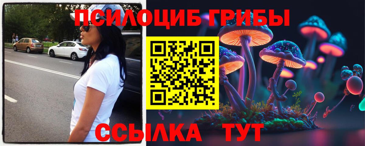 Галлюциногенные грибы мицелий Серов